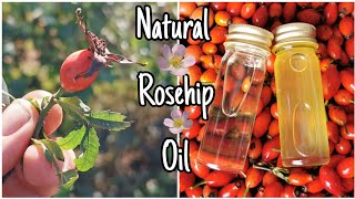 How To Make Rosehip Oil  Easily Step By Step 🌹 [upl. by Featherstone941]