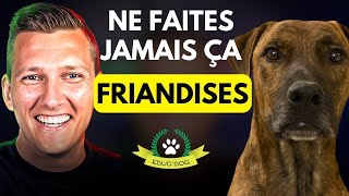 Les pièges à éviter dans lutilisation des friandises en dressage de chien [upl. by Medarda]