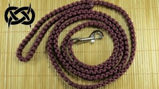 How to make a Another Solomon Paracord Dog or Pet Leash [upl. by Amahcen533]