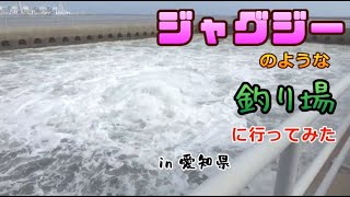 黒鯛釣りの穴場紹介／落とし込み・前打ち・ ヘチ釣り・ルアー・フカセ釣り in 愛知県 [upl. by Rudy]