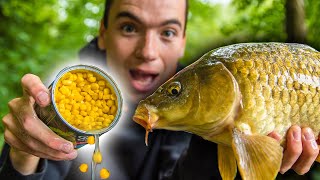 How To Catch Carp With Corn Easy and cheap bait for carp fishing [upl. by Olnee]