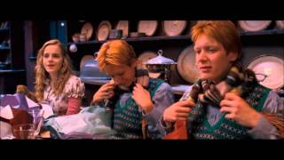 Harry Potter and the Order of the Phoenix  christmas scene HD [upl. by Paxton56]