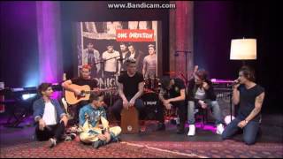 One Direction  Little Things  1DDay November 23rd 2013  Harry sings His Little Things [upl. by Yelknirb527]