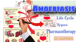 Amoebiasis Pathophysiology Life cycle amp Pharmacotherapy  Pharmacology [upl. by Esylla]