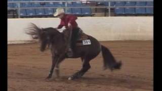 Finest China Rose at the Desert Reining Classic [upl. by Wons411]