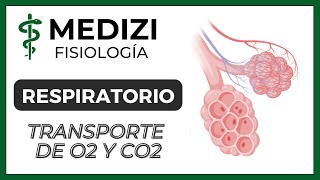 Clase 41 Fisiología Respiratoria  Transporte de O2 y CO2 en la sangre y tejidos IGdoctorpaiva [upl. by Dunaville]