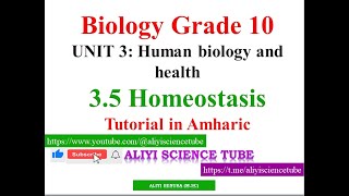 Homeostasis tutorial in Amharic on Biology Grade 10 Unit 3 Part Eight 8 [upl. by Largent]