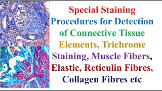 Special Staining Procedures for Detection of Connective Tissue Elements Trichrome Staining [upl. by Zoldi]