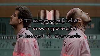 Taconafide  Tamagotchi  Slowed amp Reverb [upl. by Nahsrad]