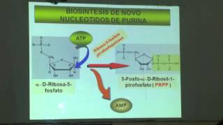 UNIDAD 5METABOLISMO DE LOS NUCLEOTIDOS parte 1 [upl. by Adnawyek]