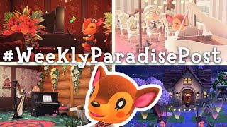 11 INCREDIBLE Community Designs for Faunas Piano Hangout  Animal Crossing Happy Home Paradise [upl. by Pfosi]