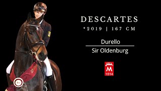 Descartes 2019 v Durello  Sir Oldenburg [upl. by Cornwall62]