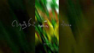 Nenjil Nenjil  whatsapp status tamil  Rain  Engeyum Kadhal [upl. by Kcyrred]