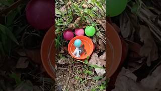 finding colored eggs and ornamental fish and turtles💓💓💓 ornamentalfish fish fishing egg [upl. by March]