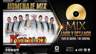 RAUL GARCIA Y SU GRUPO KABILDO  MIX AMOR Y DESAMOR Homenaje Mix [upl. by Meid]