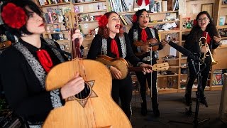 Mariachi Flor De Toloache NPR Music Tiny Desk Concert [upl. by Strage]