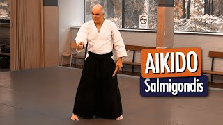 AIKIDO  Salmigondis Aikido Iwama [upl. by Rodrick]