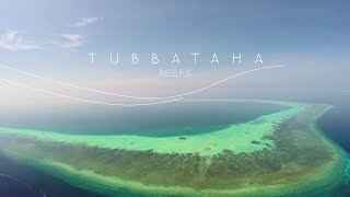 Tubbataha Reef Palawan  UNESCO Heritage Site and a National Treasure [upl. by Cherise610]