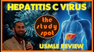 Hepatitis C Virus for USMLE [upl. by Icat]