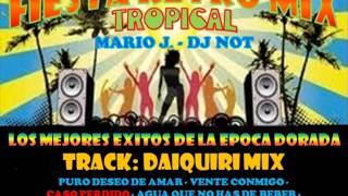 RETRO MIX  DAIQUIRI MIX  MARIO J [upl. by Ecnedac]