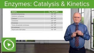 Enzymes Catalysis Kinetics amp Classification – Biochemistry  Lecturio [upl. by Ulick]