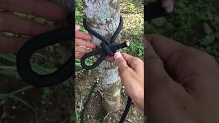 Amazing Knot in our daily life survivalknots knotting knot [upl. by Sira]