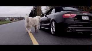 Audi S5 30T  Milltek Resonated Catback Exhaust [upl. by Hedvah]