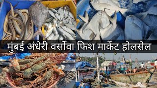 Mumbai Versova Fish Market In Wholesale Fish Market Mumbai Andheri [upl. by Varney]