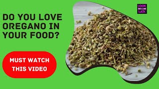 HOW DOES USE OF OREGANO IMPACT HEALTH   HEALTH BENEFITS OF OREGANO  BENEFITS OF OREGANO OIL [upl. by Yezdnil]