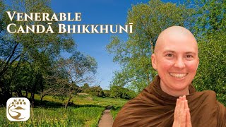 Equanimity at the Six Sense Doors  Ven Canda Bhikkhuni [upl. by Llenyar]