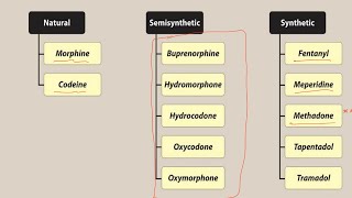 Opioids  Pharmacology [upl. by Monro599]