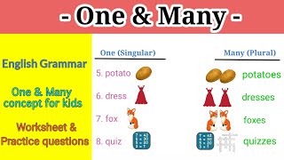 One and Many Concept For Kids  Singular and Plural Nouns  Class 1 [upl. by Ater360]