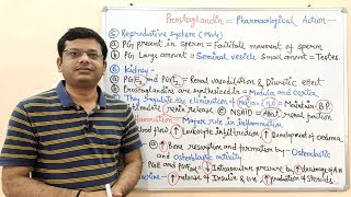 Prostaglandin Part 02  Pharmacological Action of Prostaglandins  Prostaglandins Pharmacology [upl. by Deana]