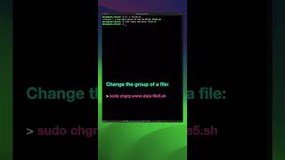 Linux commands for beginners part 22  Change file and folder group ownership shorts [upl. by Venterea]