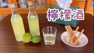 檸檬酒作法《在家輕鬆釀》酸甜滋味，像初戀的水果酒 [upl. by Ahsaetan]