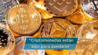 Cómo Invertir en Criptomonedas para Principiantes en 2023 [upl. by Ramey460]