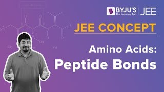 Peptide Bonds  Amino Acids  JEE Concept  Chemistry [upl. by Fanchie130]