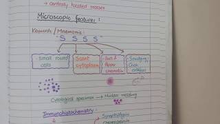 Bronchogenic Carcinoma  Pathology [upl. by Ttekcirc643]