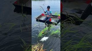 Amazing river fishing 🎣 [upl. by Steel]