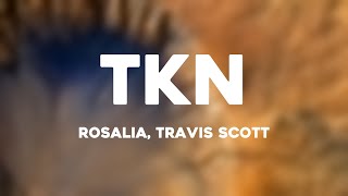 TKN  Rosalia Travis Scott Lyrics Version [upl. by Deland]