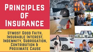 Principles of Insurance Insurance Insurance Contract amp Insurance Practices [upl. by Akaenahs]