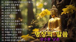 명상의말씀 🌼🌿🌱경흥법사가 만난 관세음보살지혜스님 관음기도 영험고왕경의 연기와 염험담 지혜의 등불 중에서  유마경 중에서  엄주환 낭송 [upl. by Heyde]