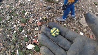 Mudlarking The Thames amp River Medway Part One [upl. by Frasier]