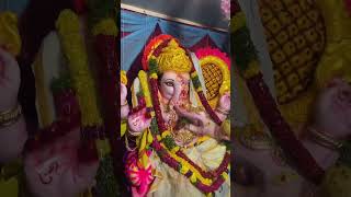 Day6jay bolo Ganesh maharaj ki jay 🙏🙏🙏🙏🙏🙏SunithasnaturalGardeningvlogs 😍 [upl. by Avie950]