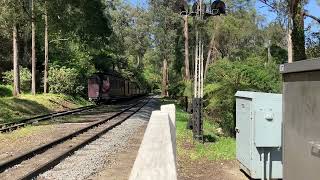 Puffing Billy Railway With Locomotive 14A Arriving At Belgrave Station Part 7 [upl. by Roslyn]