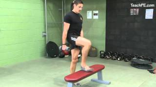 Free weight exercises  Dumbbell Step Up [upl. by Iaj654]