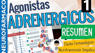 SIMPATICOMIMÉTICOS RESUMEN CLASIFICACIÓN Sinapsis Adrenérgica Receptores adrenérgicos PARTE 1 [upl. by Fremont]