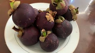 How to eat and cut open mangosteen fruit [upl. by Stefanie]