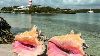 Green Turtle Cay to Elbow Cay Abacos Bahamas BeyondGeorgianBay [upl. by Nile]