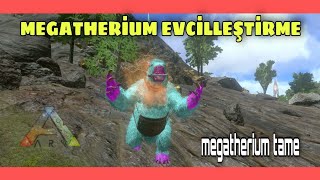 MEGATHERİUM EVCİLLEŞTİRME  Ark Survival Evolved Mobile Türkçe  Megatherium Tame [upl. by Winslow]